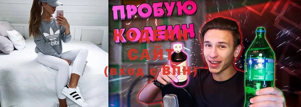 дурь Бородино