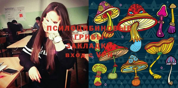 шишки Верхний Тагил