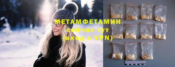шишки Верхний Тагил