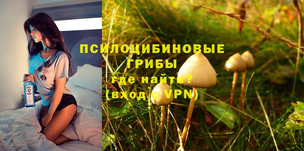 шишки Верхний Тагил