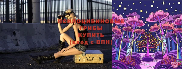 дурь Бородино