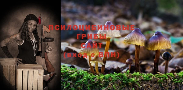 дурь Бородино