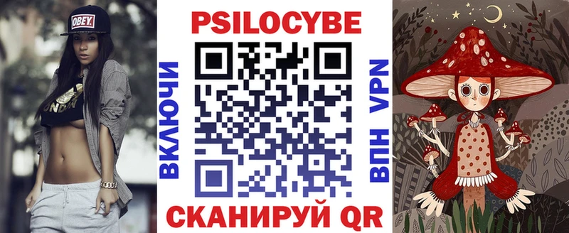Галлюциногенные грибы Psilocybe  Купить закладки  Могоча 