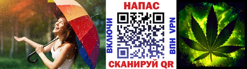 Купить  Могоча  Бошки Шишки Amnesia 